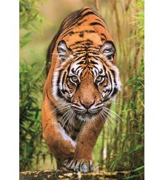 Puzzle Clementoni O Caminho Do Caçador de 1000 Peças