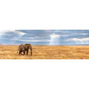 Puzzle Clementoni Elefante Perdido na Savana 1000 Peças