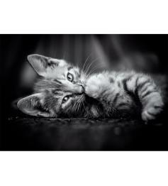 Puzzle Clementoni Gatinho 1000 peças