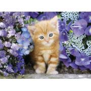 Puzzle Clementoni Blond Kitten 500 Peças