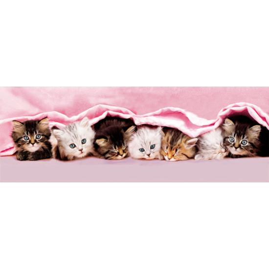 Puzzle Clementoni Gatinhos Sob o Cobertor 1000 Peças