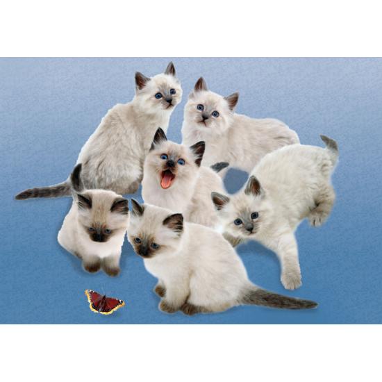 Puzzle Clementoni Gatos e Borboletas 500 Peças
