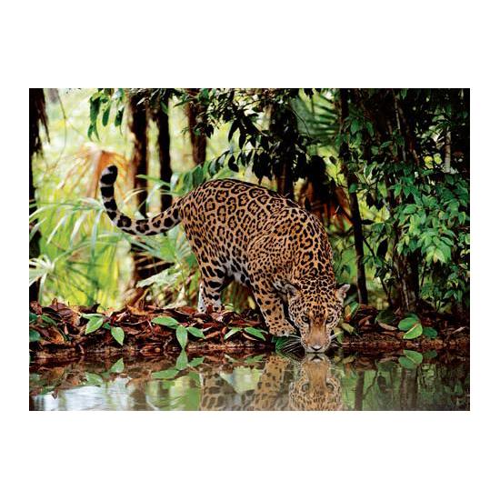 Puzzle de leopardo Clementoni 2000 peças