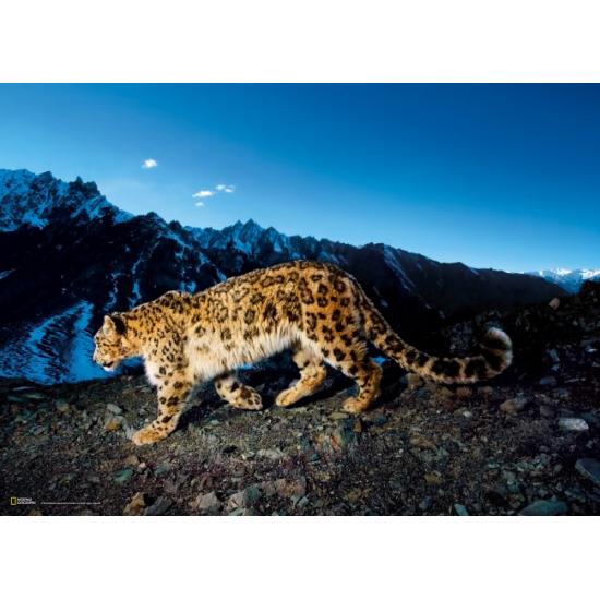 Puzzle Clementoni Snow Leopard 1.000 peças