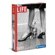 Puzzle Clementoni Life Chihuahua 1000 peças