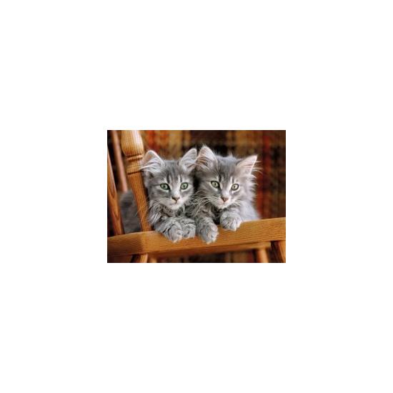 Puzzle Clementoni Os Gatinhos 500 Peças