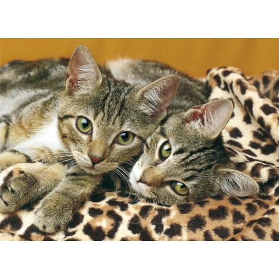 Puzzle Clementoni Olhos de Gato 1000 Peças