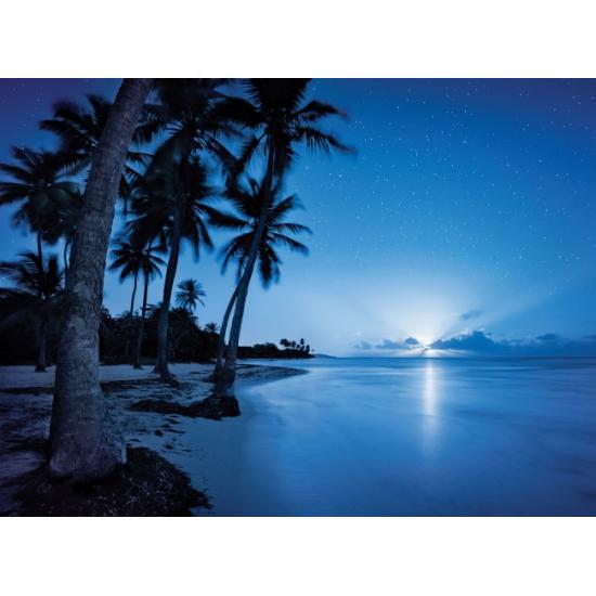 Puzzle de lua crescente Clementoni 500 peças