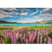 Puzzle Clementoni Lupinos no Lago Tekapo 1500 peças