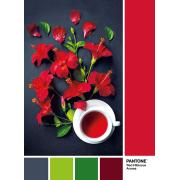 Puzzle Clementoni PANTONE 186, perfume de flor de hibisco