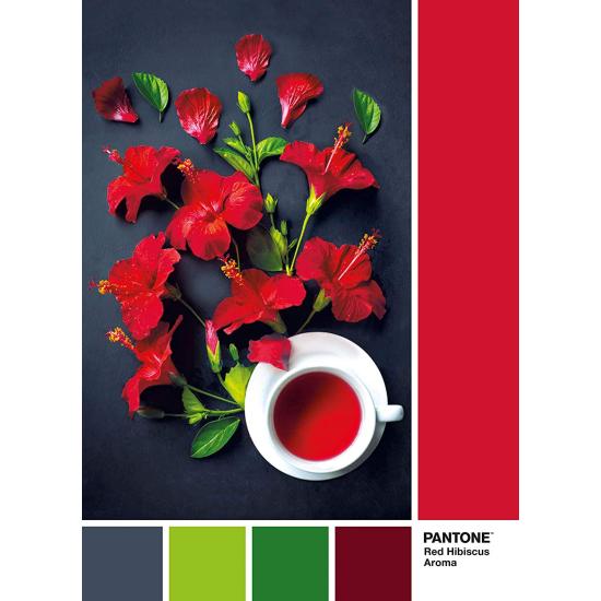 Puzzle Clementoni PANTONE 186, perfume de flor de hibisco