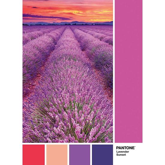 Puzzle Clementoni PANTONE 674, Campo de Lavanda 1000 Peça