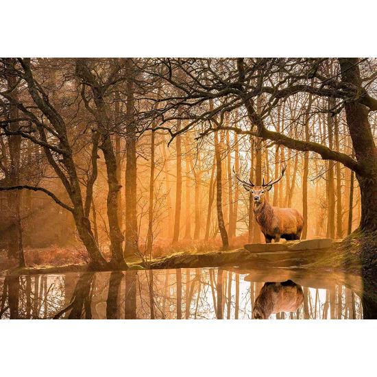 Puzzle Clementoni Peace Forest Whispers 500 peças Puzzle Clementoni Peace Forest Whispers 500 peças