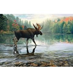 Puzzle Cobble Hill Alce no Rio 1000 Piece