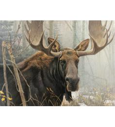 Puzzle Cobble Hill Bull Moose 500 peças