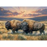 Puzzle Cobble Hill Bisons on the Plains de 1000 peças