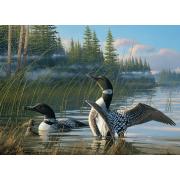 Puzzle de 1000 peças Cobble Hill Common Loons