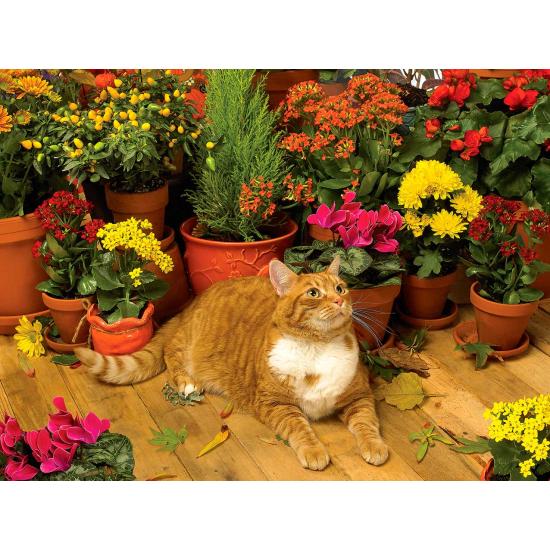 Puzzle Cobble Hill Autumn Breeze 500 peças Puzzle Cobble Hill Autumn Breeze 500 peças