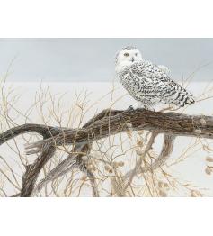 Puzzle Cobble Hill Snowy Owl 500 peças