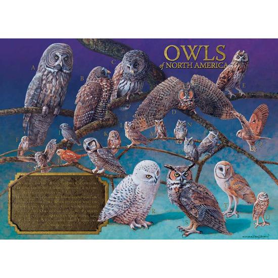 Puzzle Cobble Hill Owls of North America 1000 peças