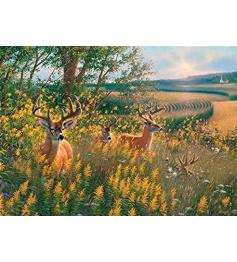Cobble Hill Deer no verão Puzzle de 1000 peças