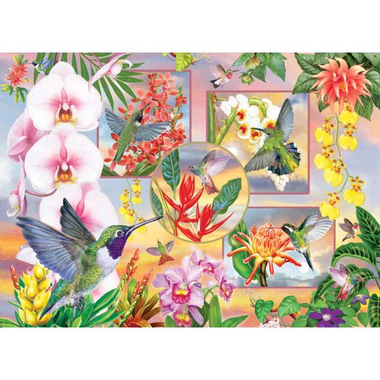 Puzzle Cobble Hill XXL Beija-flor mágico de 500 peças