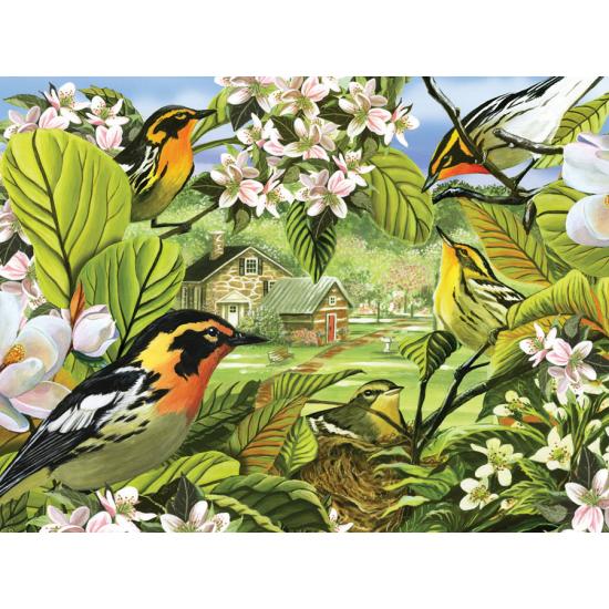 Puzzle de 500 peças Cobble Hill Black and Red Warblers