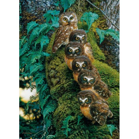 Cobble Hill Puzzle família de corujas na árvore 1000 peça