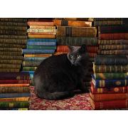 Puzzle Cobble Hill Library Cat 1000 peças