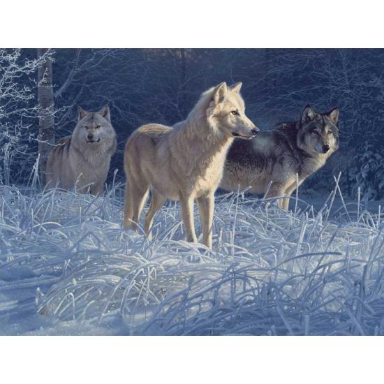 Puzzle Cobble Hill White Wolf Pack 500 peças
