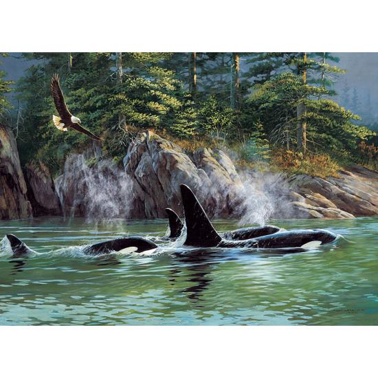 Puzzle Cobble Hill Orcas 1.000 peças Puzzle Cobble Hill Orcas 1.000 peças