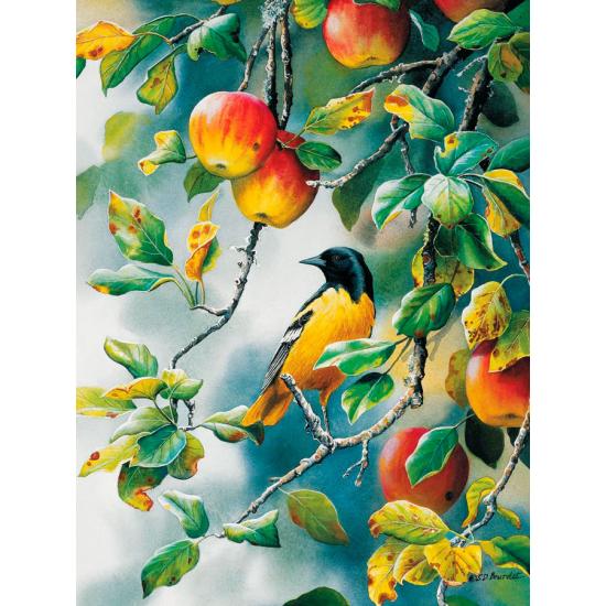 Puzzle Cobble Hill Northern Oriole 500 peças