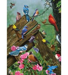 Puzzle Cobble Hill Forest Birds 1000 peças