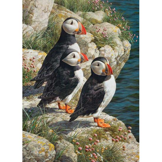 Puzzle Cobble Hill Little Fishers XXL 500 peças