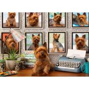 Puzzle Cobble Hill Filhotes Yorkies 1000 peças