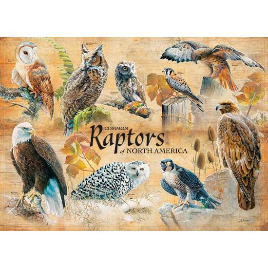 Puzzle Cobble Hill Raptors da América do Norte 1000 peças