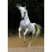 Puzzle D-Toys Cavalo Branco 1000 Peças