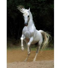Puzzle D-Toys Cavalo Branco 1000 Peças
