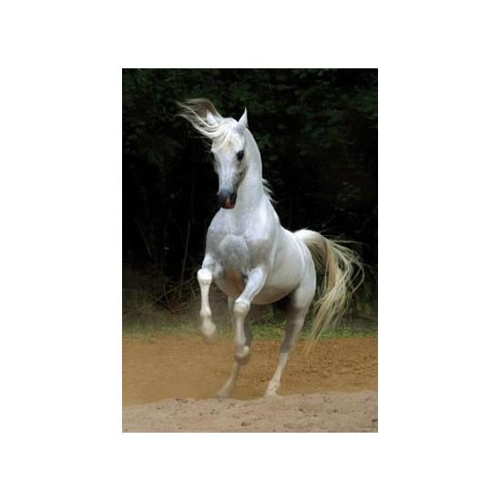 Puzzle D-Toys Cavalo Branco 1000 Peças Puzzle D-Toys Cavalo Branco 1000 Peças