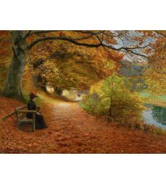 Puzzle D-Toys Forest Path in Autumn 1000 Piece