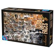 Puzzle D-Toys rostos de animais, gatos 1000 peças