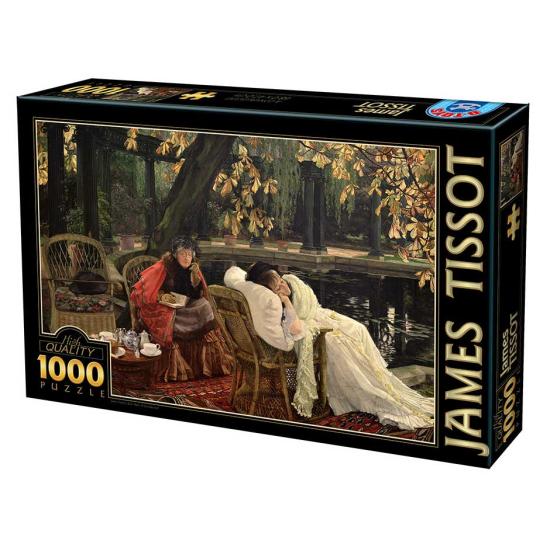 Puzzle de 1000 peças convalescentes D-Toys