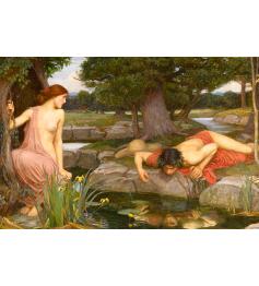 D-Toys Eco e Narciso Puzzle 1000 peças