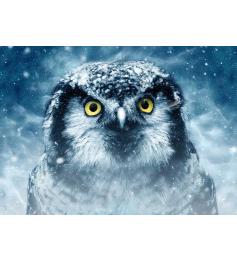 Puzzle Deico Gaze 1000 Peças