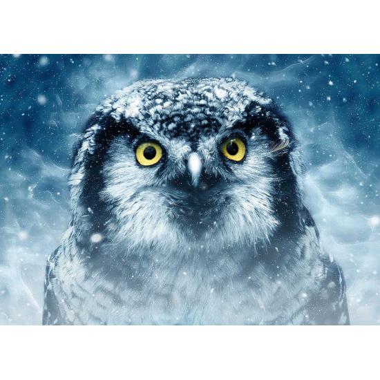 Puzzle Deico Gaze 1000 Peças