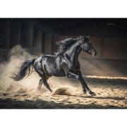 Puzzle Dino Cavalo Preto 1000 Peças
