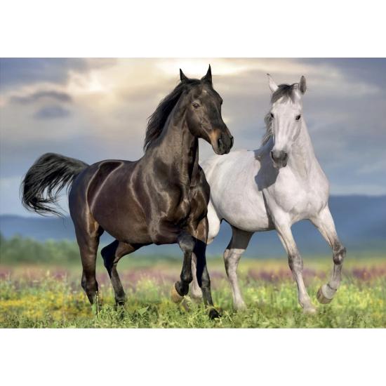 Puzzle Dino Cavalos Apaixonados 500 Peças