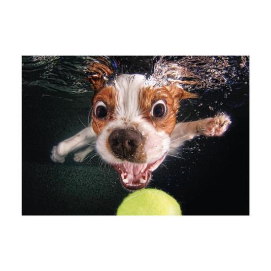 Puzzle Dino Filhote de Cachorro Subaquático 500 peças