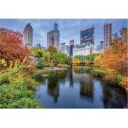 Puzzle Dino Central Park 500 Peças