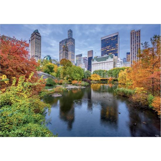 Puzzle Dino Central Park 500 Peças